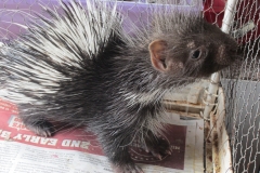 20141012-ZURI-ORPHANAGE_1