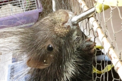 20141018-ZURI-ORPHANAGE_05
