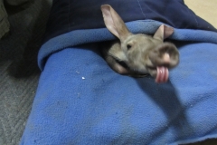 20150905-ZURI-ORPHANAGE_16