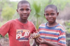 children-tortoise